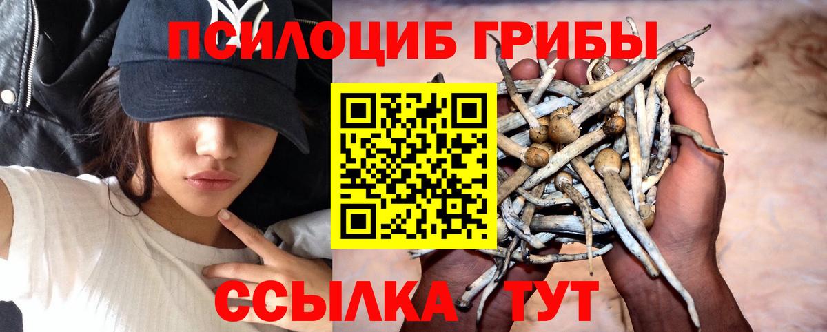Красноармейск  Галлюциногенные грибы Cubensis  Псилоцибиновые грибы мухоморы  Вход с VPN 